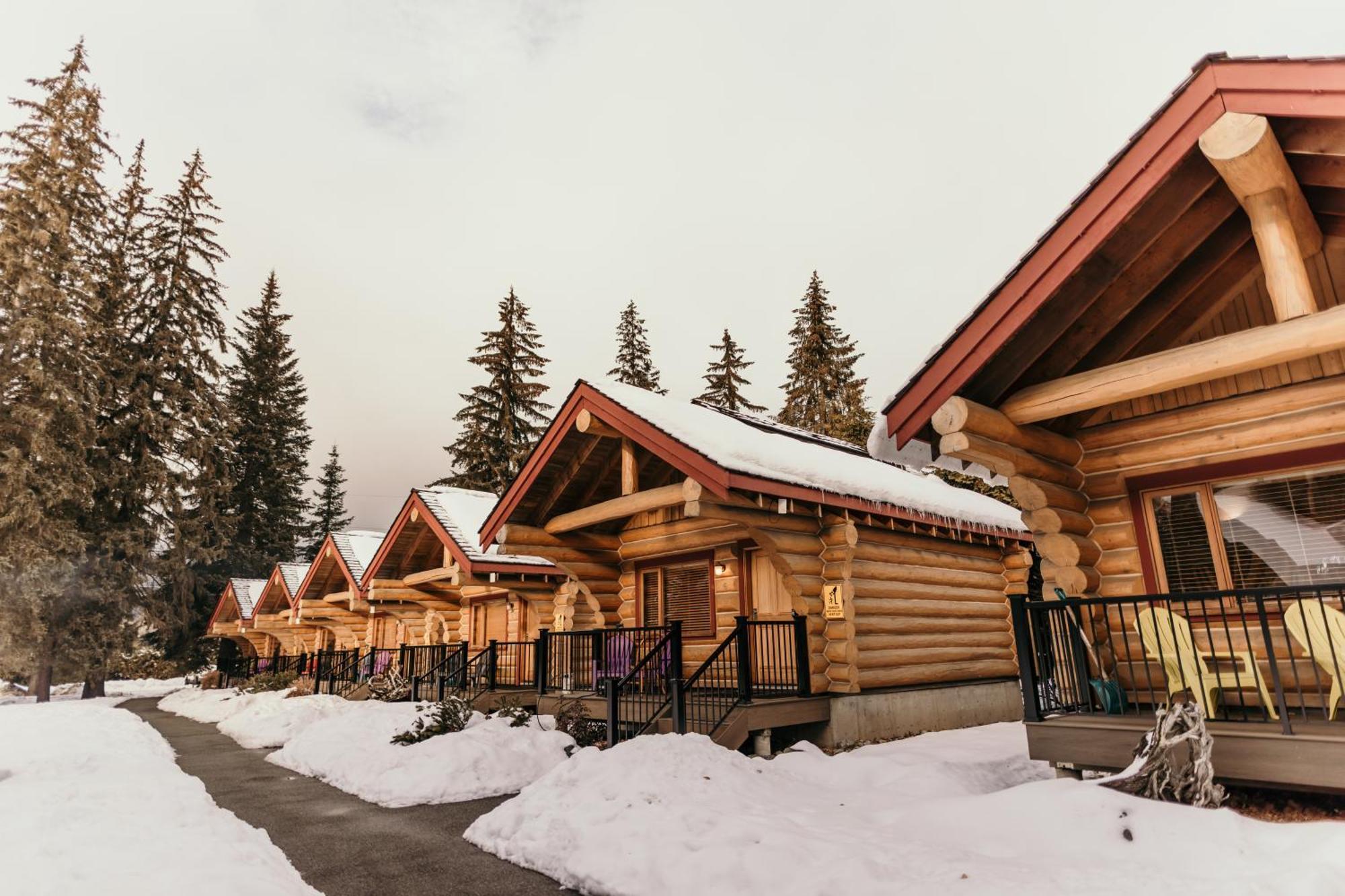 Wheelchair-Accessible Log Cabin,1546331659:JPEG