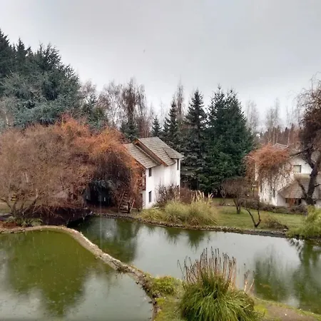 Rupu Pehuen-3