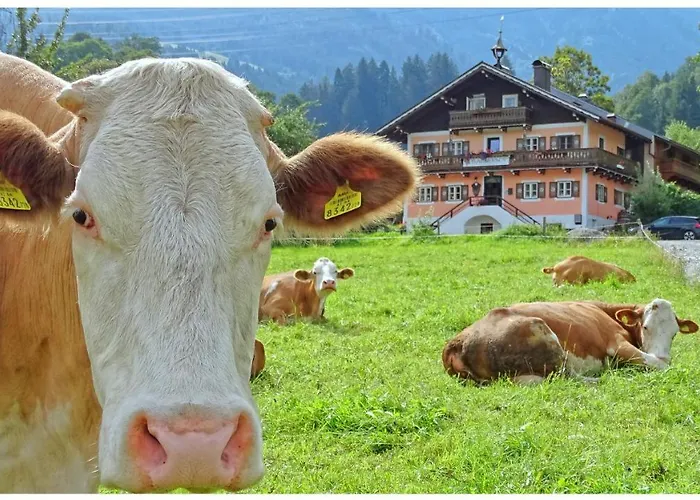 Alpinresort Derbacherhof