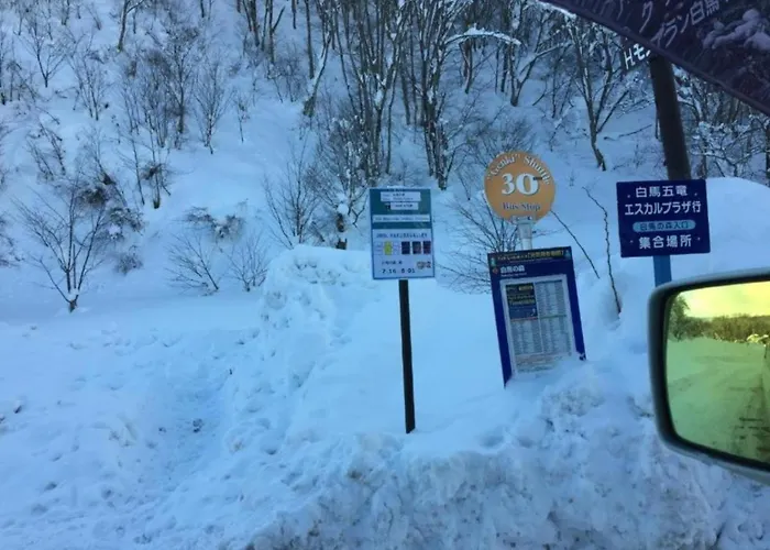 Hakuba park hotel - Vacation STAY 95667v