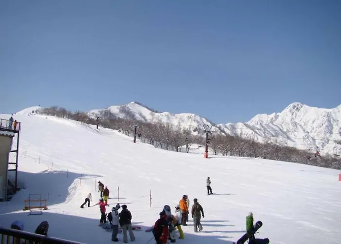 Hakuba Park Hotel - Vacation Stay 95996V
