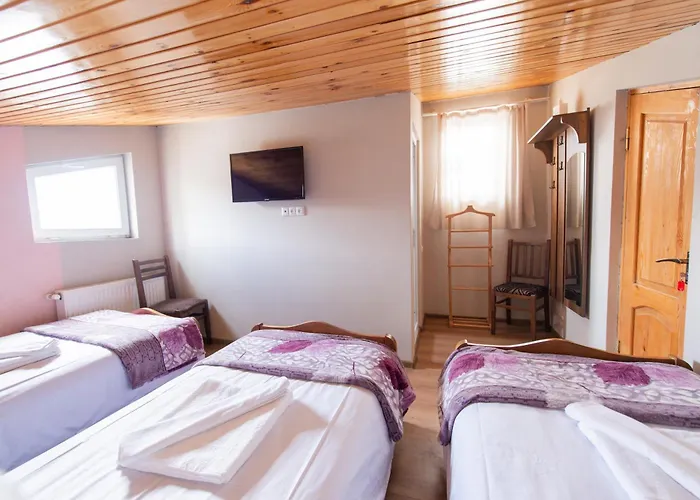 Hotel Zemo Aragvi