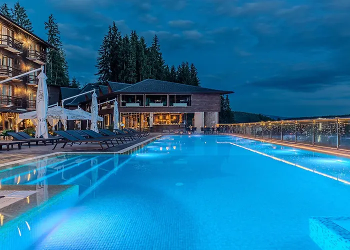 Spa Hotel Gora