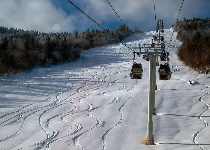 The Black Bear Lodge At Stratton Mountain Resort