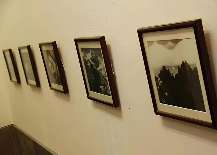 Okanoue Hotel Miyagawa